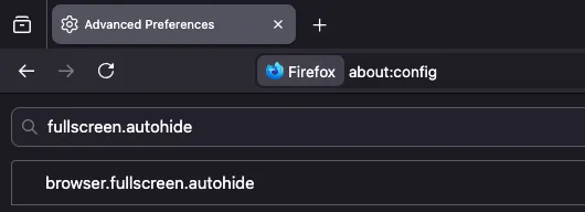 Fullscreen Firefox in about:config page with search query fullscreen.autohide