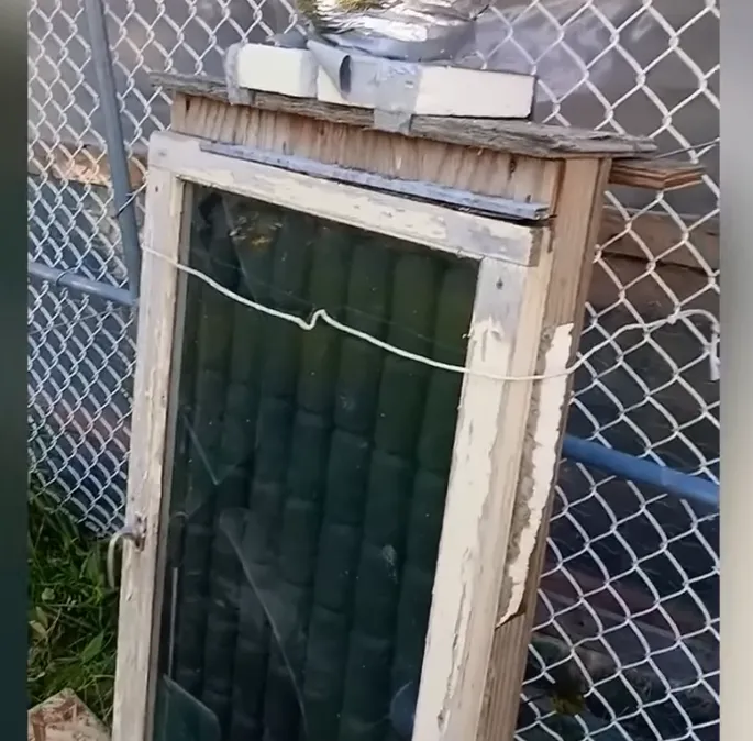 A wooden frame with a window, leaning against a fence. Inside, there are multiple columns of aluminium cans painted matte black