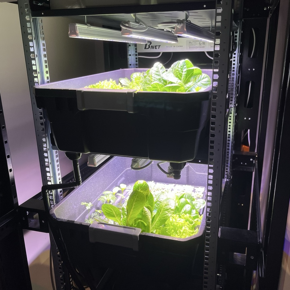 A closeup of a server rack with two trays of plants growing in it.
