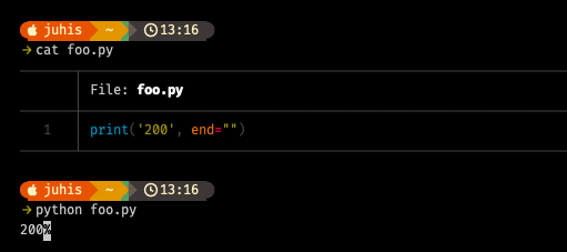 zsh shell output showing a percentage sign with white background at the end of a print